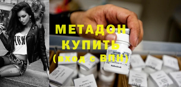 шишки Абаза