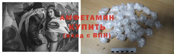 шишки Абаза