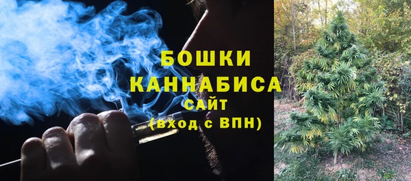 PSILOCYBIN Усмань
