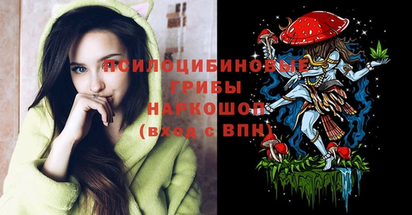 тгк Алзамай