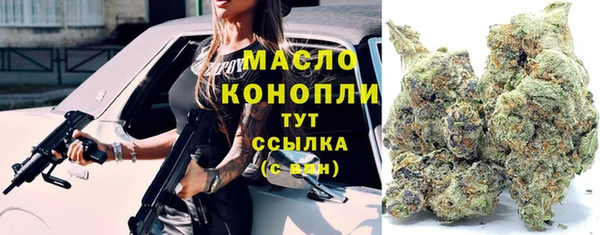 тгк Алзамай