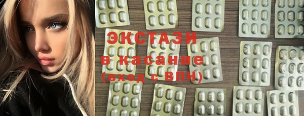 мдпв Туринск