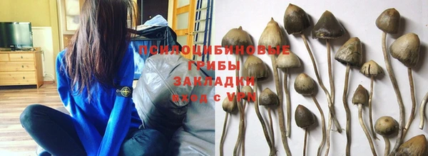 PSILOCYBIN Алексин